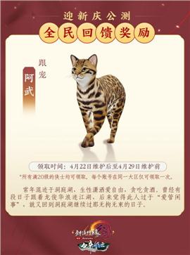 天龙八部私服架构